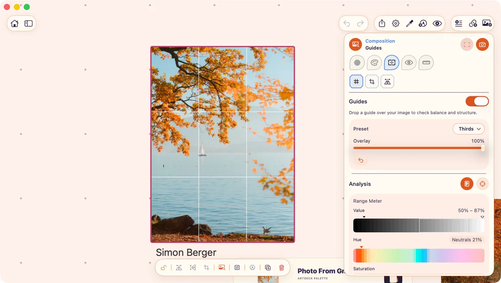 Composition lens open showing the Guides tool with a Rule of Thirds grid overlaid on a canvas image.