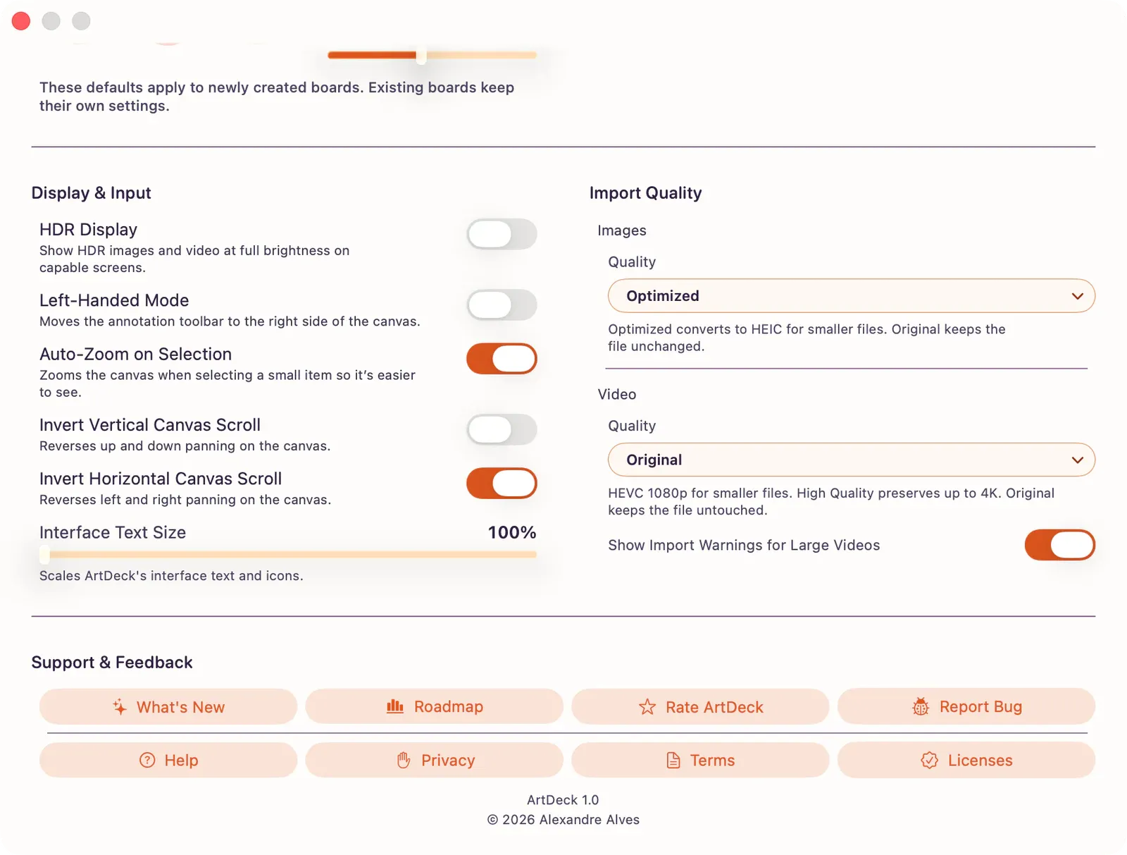 App Settings General tab showing Display and Input toggles beside Import Quality image and video controls.