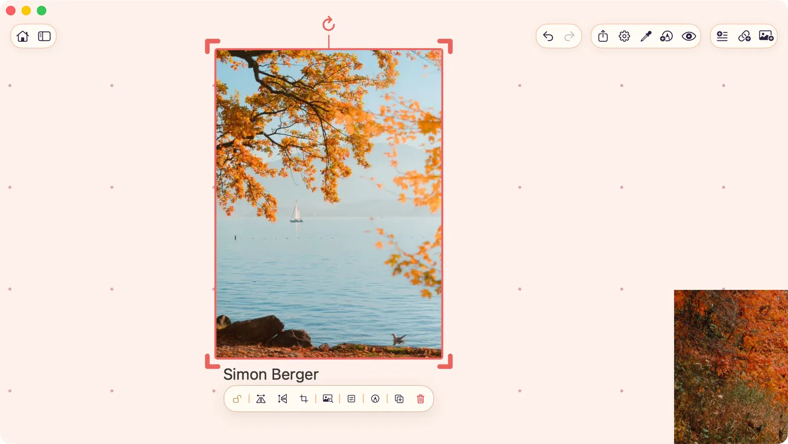 Selected canvas item with the selection overlay visible and the contextual control bar above it.